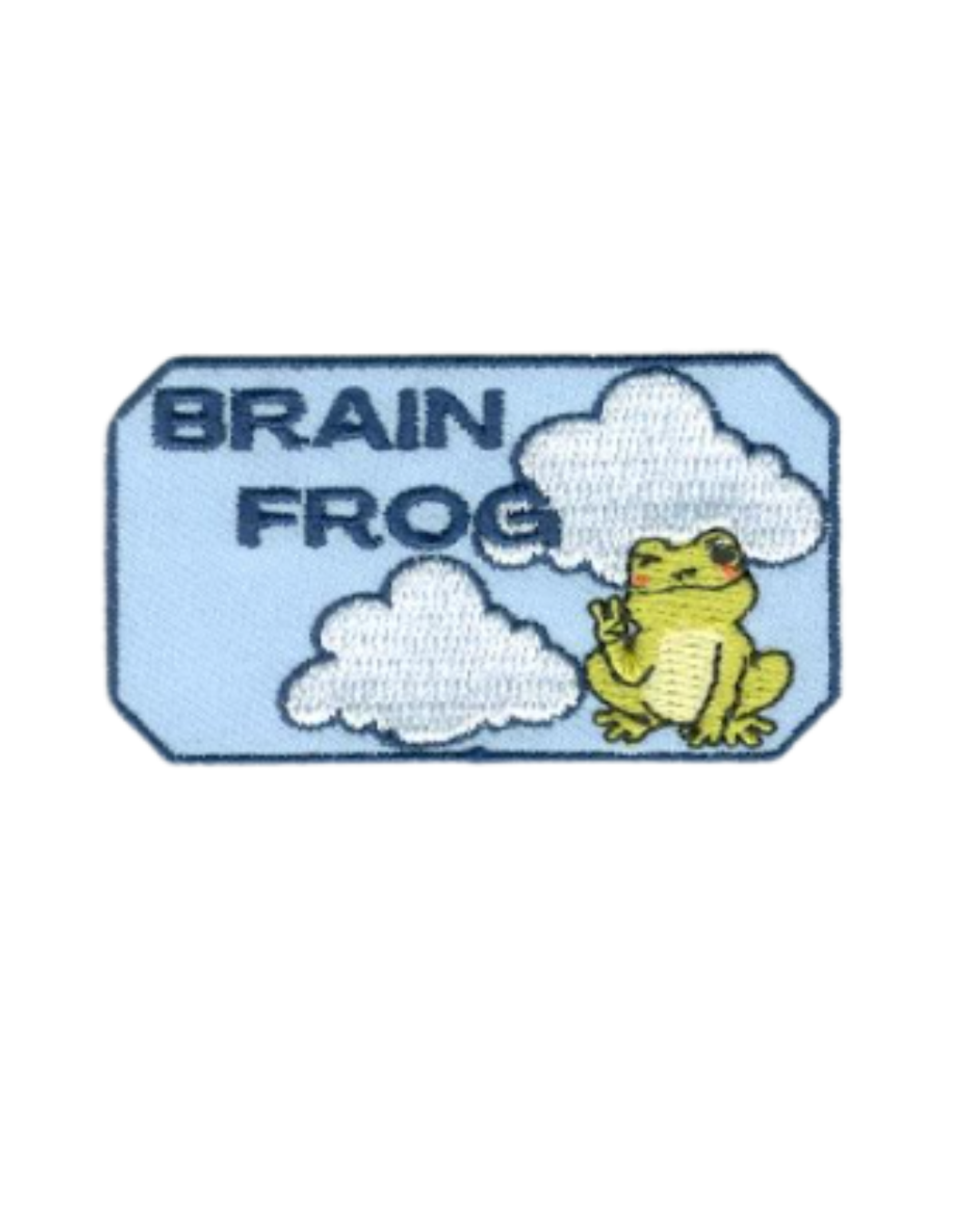 Brain Frog – Iron-On Patch (2.5" x 1.5")